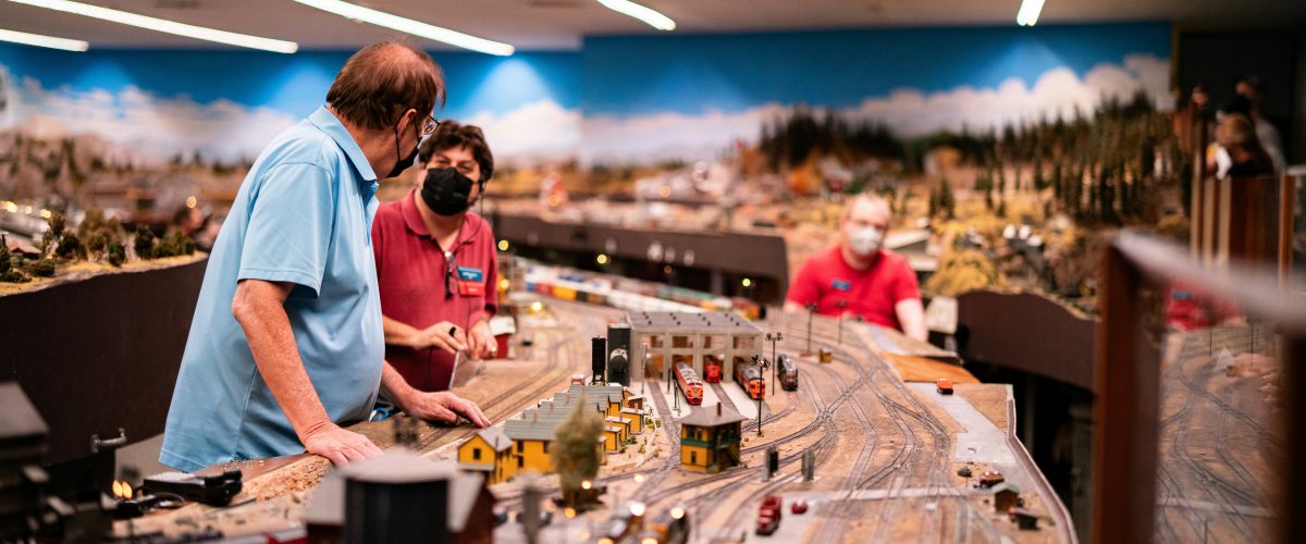 model railway layouts for sale