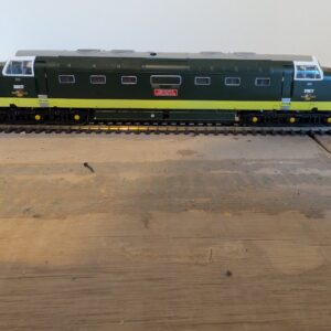 Bachmann Class 55 D9017 The Durham Light Infantry Br two tone green 32-529